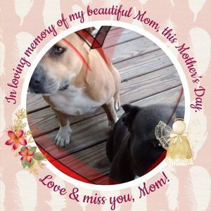 Meet your Posher, Mavis